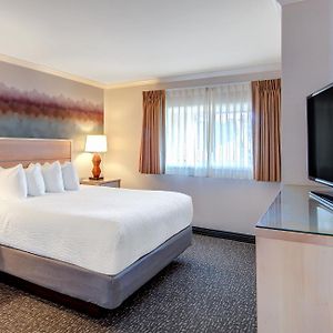 Chambre Double de Luxe